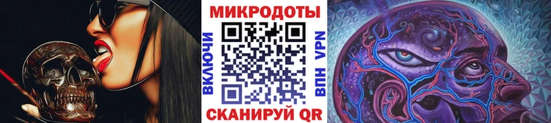 Псилоцибиновые грибы Psilocybe  Богородск 